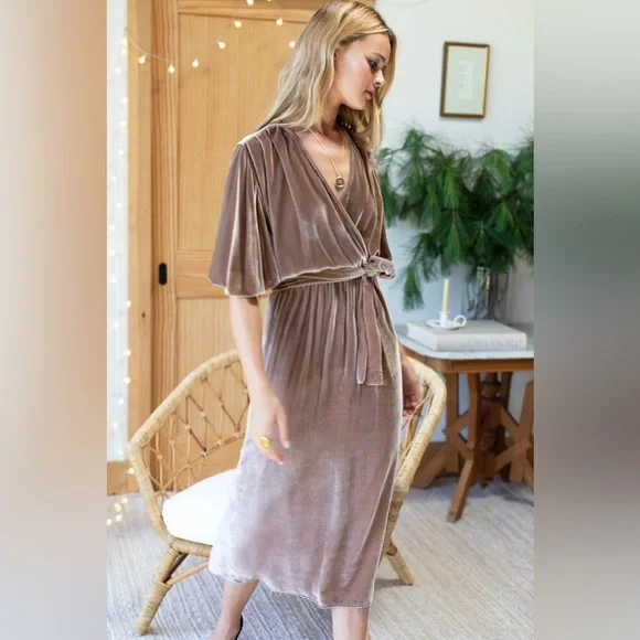 EMERSON FRY LILA DRESS - CHESTNUT SILK VELVET SIZE XS - Picture 2 of 12